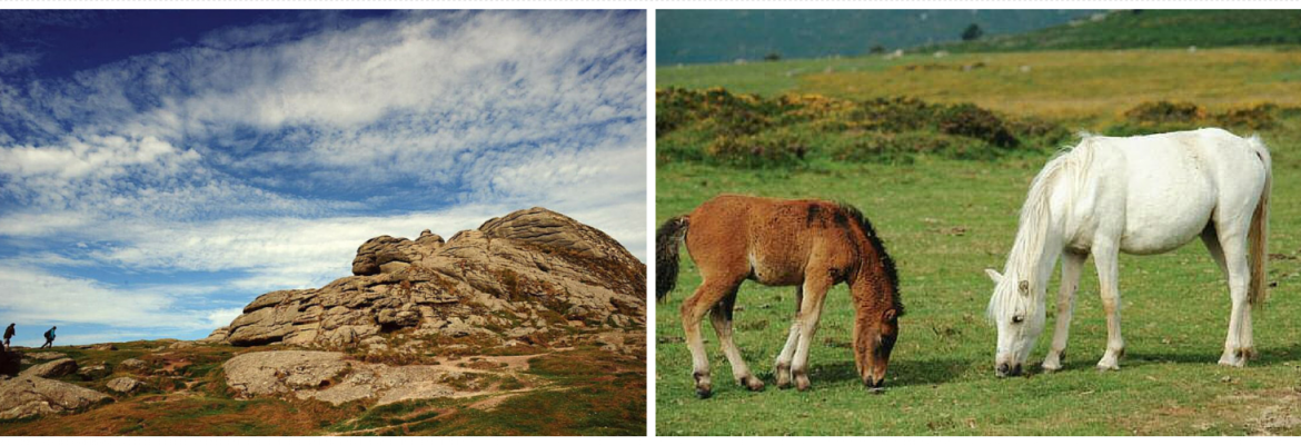 Dartmoor